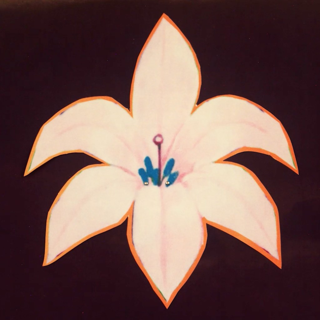 Irreversible Entanglements release new album this month, following similarly enlightening Dos Santos LP for International&nbsp;Anthem